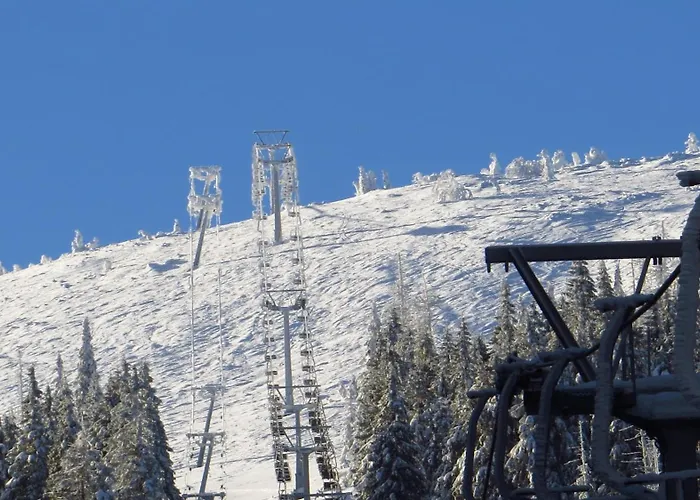 Гостевой дом Etna - W Centrum 3*